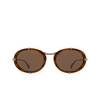 Lunettes de soleil Max Mara SELMA 50E light brown / striped - Vignette du produit 1/3