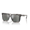 Gafas de sol Michael Kors ABRUZZO 396688 black horn - Miniatura del producto 2/3