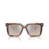 Lunettes de soleil Michael Kors ABRUZZO 39776I brown horn - Vignette du produit 1/3