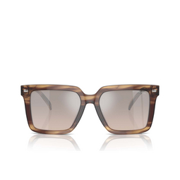 Lunettes de soleil Michael Kors ABRUZZO 39776I brown horn