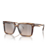 Michael Kors ABRUZZO Sunglasses 39776I brown horn - product thumbnail 2/3