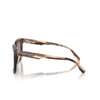 Lunettes de soleil Michael Kors ABRUZZO 39776I brown horn - Vignette du produit 3/3