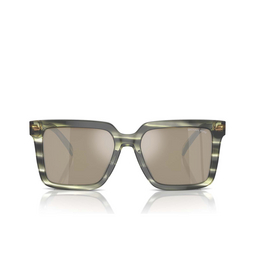 Gafas de sol Michael Kors ABRUZZO 39787I olive horn