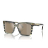 Michael Kors ABRUZZO Sunglasses 39787I olive horn - product thumbnail 2/3