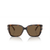 Lunettes de soleil Michael Kors ACADIA 395173 bi layer dark / cream tortoise - Vignette du produit 1/3