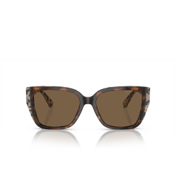 Gafas de sol Michael Kors ACADIA 395173 bi layer dark / cream tortoise