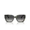 Lunettes de soleil Michael Kors ACADIA 39538G amazon green tortoise - Vignette du produit 1/3