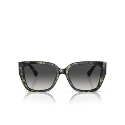 Occhiali da sole Michael Kors ACADIA 39538G amazon green tortoise