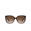 Michael Kors ANAHEIM Sunglasses 300613 dark tortoise - product thumbnail 1/3