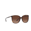 Lunettes de soleil Michael Kors ANAHEIM 3006T5 dark tortoise - Vignette du produit 2/3