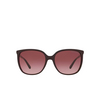 Michael Kors ANAHEIM Sunglasses 33448H cordovan - product thumbnail 1/3