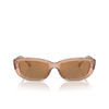 Occhiali da sole Michael Kors ASHEVILLE 3999/O brown transparent - anteprima prodotto 1/3