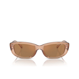 Lunettes de soleil Michael Kors ASHEVILLE 3999/O brown transparent