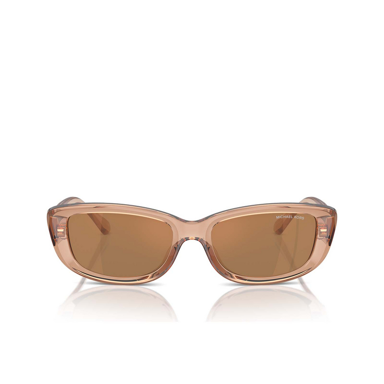 Lunettes de soleil Michael Kors ASHEVILLE 3999/O brown transparent - 1/3