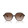 Michael Kors BALI Sunglasses 300613 dark tortoise - product thumbnail 1/3