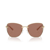 Lunettes de soleil Michael Kors BEIJING 101403 shiny light gold - Vignette du produit 1/3