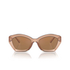 Lunettes de soleil Michael Kors BEL AIR 3999/O brown transparent - Vignette du produit 1/3