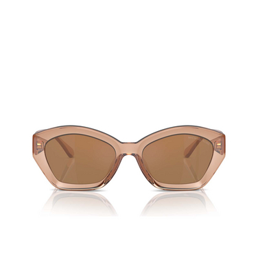 Gafas de sol Michael Kors BEL AIR 3999/O brown transparent - Vista delantera