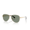 Michael Kors BIARRITZ Sunglasses 10143H light gold shiny - product thumbnail 2/3