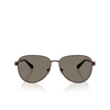 Michael Kors BIARRITZ Sunglasses 1891/3 chocolate shiny - product thumbnail 1/3