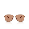 Michael Kors BIARRITZ Sunglasses 1902/3 nutmeg - product thumbnail 1/3