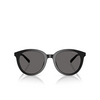 Lunettes de soleil Michael Kors BIG BEND 300587 black - Vignette du produit 1/3