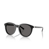 Lunettes de soleil Michael Kors BIG BEND 300587 black - Vignette du produit 2/3