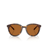 Lunettes de soleil Michael Kors BIG BEND 300673 dark tortoise - Vignette du produit 1/3