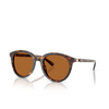 Lunettes de soleil Michael Kors BIG BEND 300673 dark tortoise - Vignette du produit 2/3