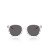 Michael Kors BIG BEND Sunglasses 301587 clear - product thumbnail 1/3