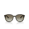 Michael Kors BIG BEND Sunglasses 39433M olive tortoise - product thumbnail 1/3