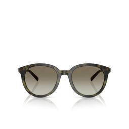 Michael Kors BIG BEND Sunglasses 39433M olive tortoise