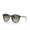 Michael Kors BIG BEND Sunglasses 39433M olive tortoise - product thumbnail 2/3