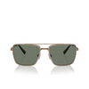 Michael Kors BLUE RIDGE Sunglasses 18993H shiny gold - product thumbnail 1/3