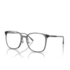 Occhiali da vista Michael Kors BORACAY 3934 transparent heather grey - anteprima prodotto 2/3