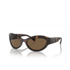 Lunettes de soleil Michael Kors BURANO 300673 dark tortoise - Vignette du produit 2/3