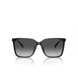 Gafas de sol Michael Kors CANBERRA 3005T3 black