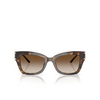 Michael Kors CANTABRIA Sunglasses 300613 dark tortoise - product thumbnail 1/3