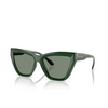 Michael Kors DUBAI Sunglasses 40063H bosco - product thumbnail 2/3