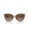 Lunettes de soleil Michael Kors DUPONT 3938T5 brown transparent - Vignette du produit 1/3