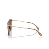 Lunettes de soleil Michael Kors DUPONT 3938T5 brown transparent - Vignette du produit 3/3