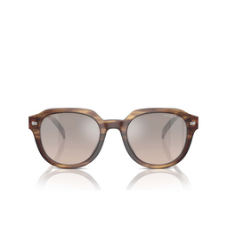 Gafas de sol Michael Kors EGER 39776I brown horn