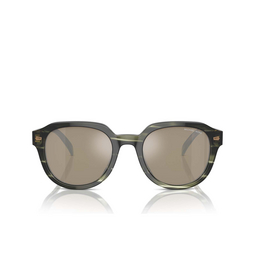 Gafas de sol Michael Kors EGER 39787I olive horn