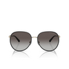 Michael Kors EMPIRE Sonnenbrillen 10148G light gold / black - Produkt-Miniaturansicht 1/3
