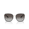 Gafas de sol Michael Kors EMPIRE SQUARE 2 10148G light gold / black - Miniatura del producto 1/3