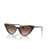 Occhiali da sole Michael Kors HARBOUR ISLAND 300613 dark tortoise - anteprima prodotto 2/3