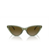 Occhiali da sole Michael Kors HARBOUR ISLAND 394413 green transparent - anteprima prodotto 1/3