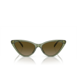 Lunettes de soleil Michael Kors HARBOUR ISLAND 394413 green transparent