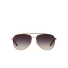 Lunettes de soleil Michael Kors HVAR 109936 rose gold - Vignette du produit 1/3