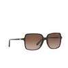 Lunettes de soleil Michael Kors ISLE OF PALMS 378113 dark tortoise - Vignette du produit 2/3